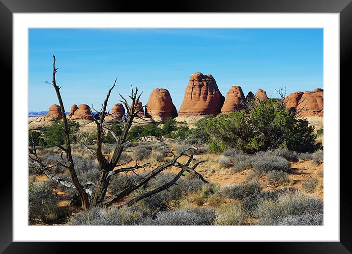 Needles District scenery, Canyonlands, Utah Framed Mounted Print by Claudio Del Luongo