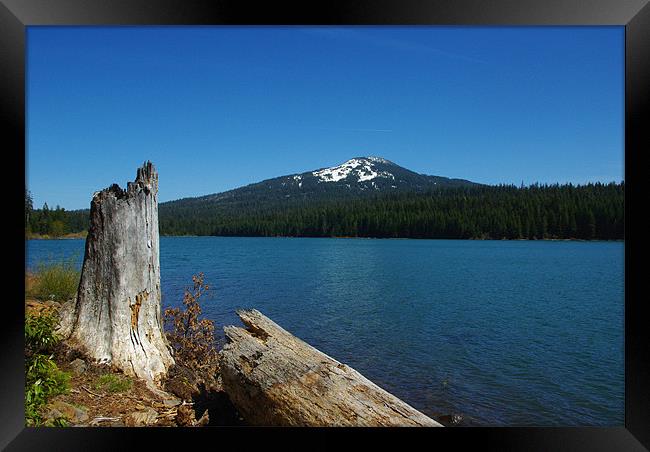 Lake of the Woods, Oregon Framed Print by Claudio Del Luongo