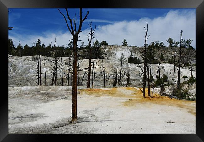 Mammoth Terraces, Yellowstone Framed Print by Claudio Del Luongo