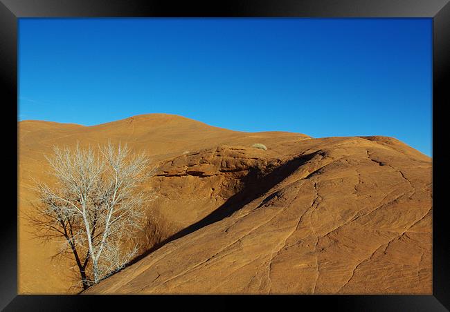 Orange rock hill with white dry tree under blue sk Framed Print by Claudio Del Luongo