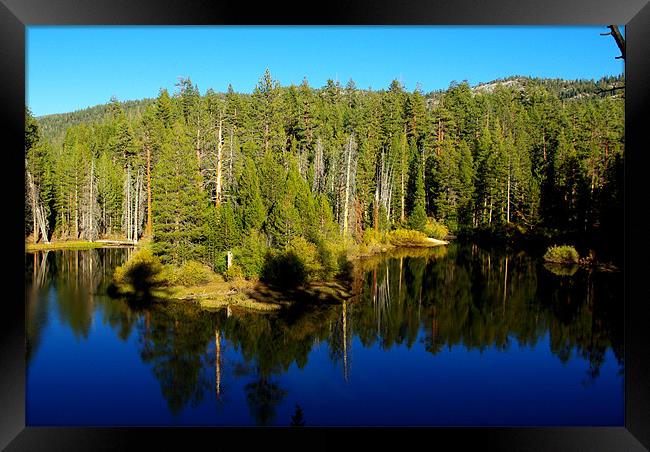 Beautiful pond in the forest Framed Print by Claudio Del Luongo
