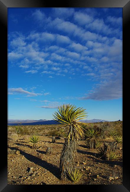 Desert scenery, Nevada Framed Print by Claudio Del Luongo