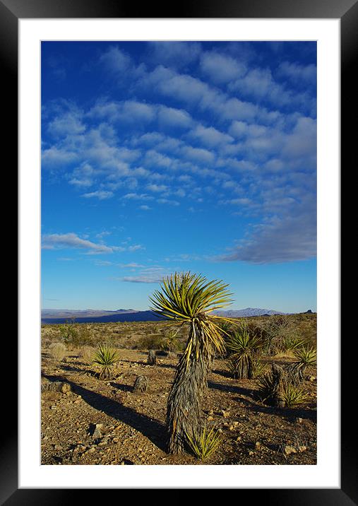 Desert scenery, Nevada Framed Mounted Print by Claudio Del Luongo