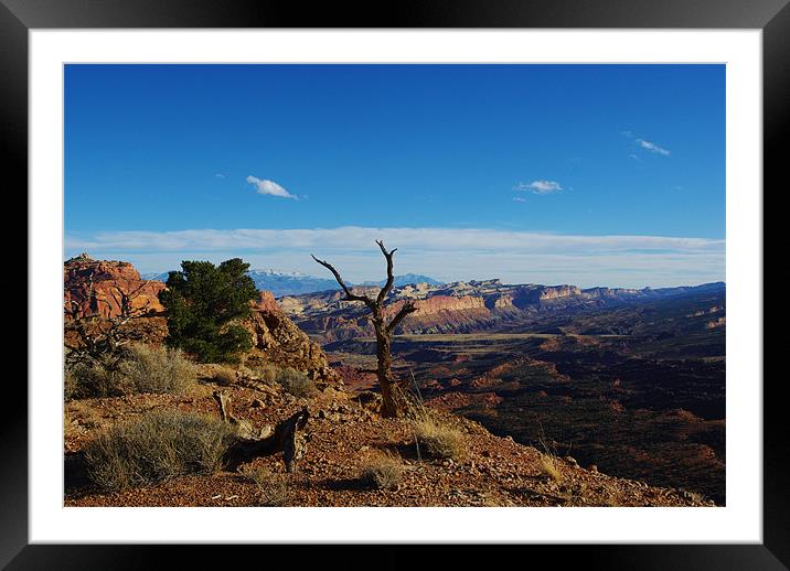 Capitol Reef impression, Utah Framed Mounted Print by Claudio Del Luongo