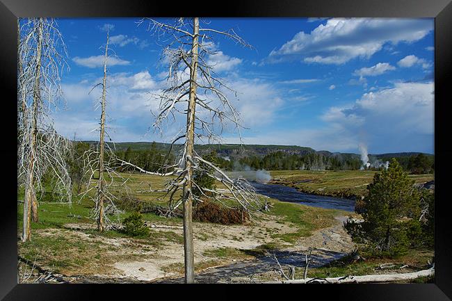 Yellowstone scenery Framed Print by Claudio Del Luongo