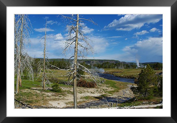 Yellowstone scenery Framed Mounted Print by Claudio Del Luongo