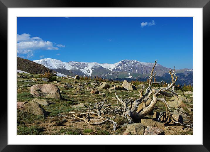 High Rockies, Colorado Framed Mounted Print by Claudio Del Luongo