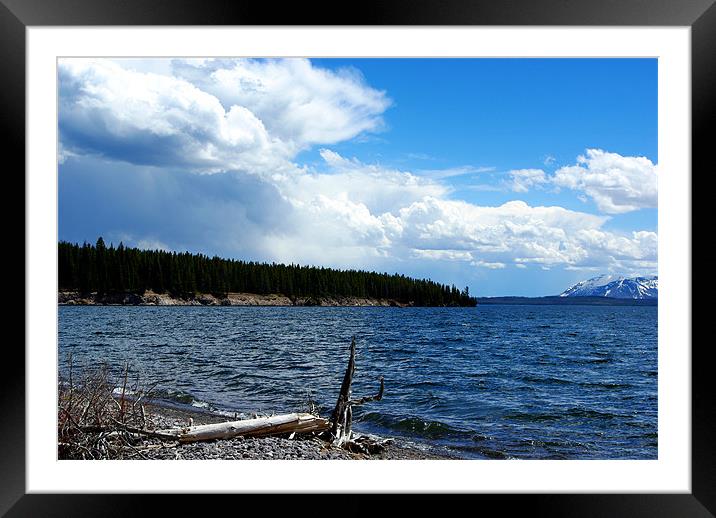 Lake Yellowstone impression Framed Mounted Print by Claudio Del Luongo