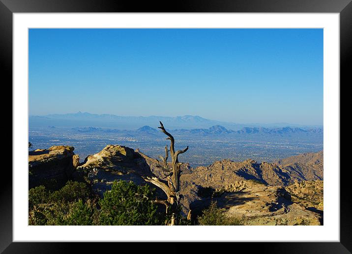 View from Mount Lemmon high above Tucson Framed Mounted Print by Claudio Del Luongo