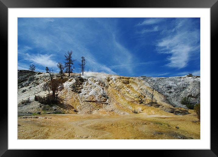 Wild Yellowstone , Wyoming Framed Mounted Print by Claudio Del Luongo