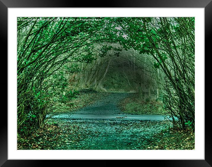 Eglinton Woodland Arches Framed Mounted Print by Chris Archer