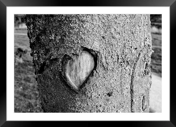 Love in Nature Framed Mounted Print by Chris Archer