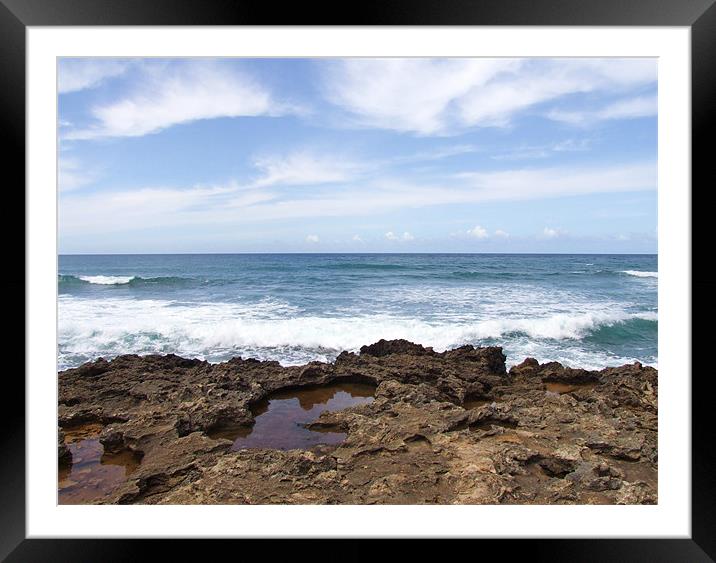 Rocky Coastline Hawaii North Shore Framed Mounted Print by Paula Guy