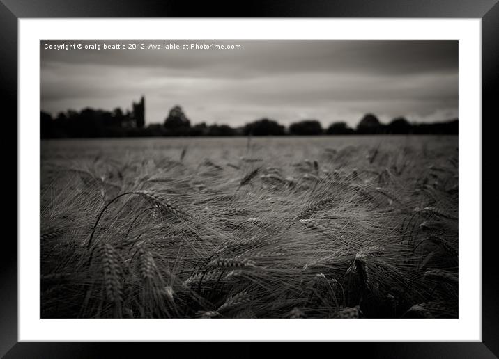 Black and White Corn Field Framed Mounted Print by craig beattie