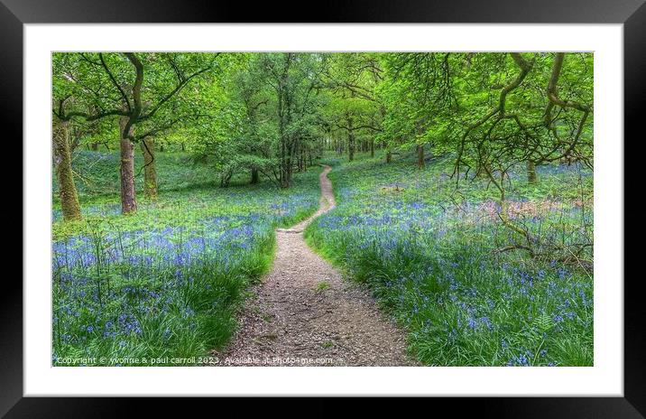 Bluebells on Inchcailloch Framed Mounted Print by yvonne & paul carroll