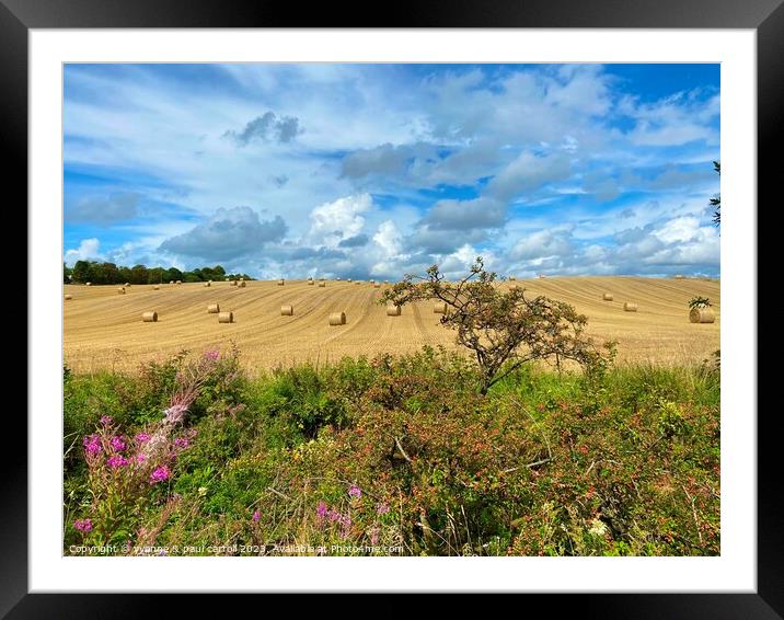Rolls of hay and Wildflowers Framed Mounted Print by yvonne & paul carroll