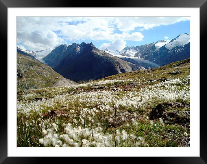 Austrian mountains Framed Mounted Print by yvonne & paul carroll