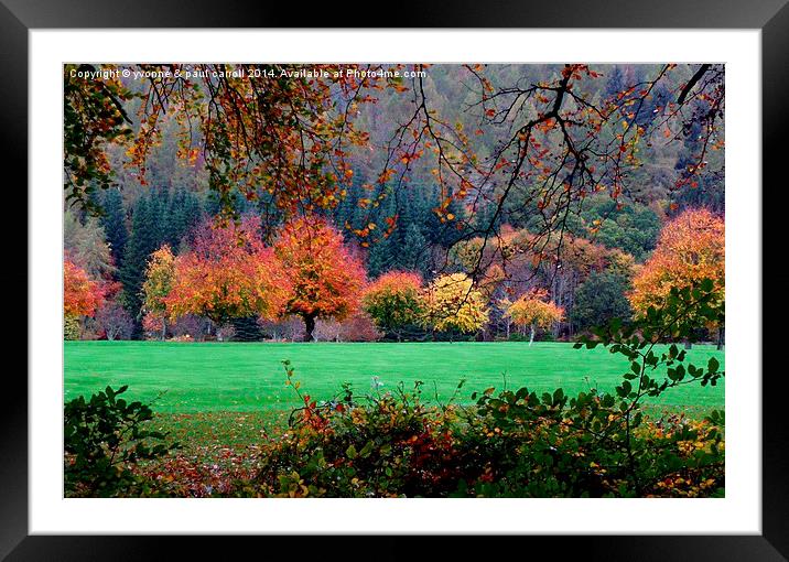  Autumn in Kenmore  Framed Mounted Print by yvonne & paul carroll