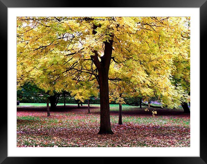  Autumn contrasts Framed Mounted Print by yvonne & paul carroll