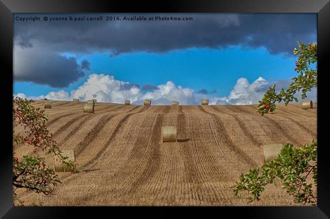 Hay stacks along the Forth & Clyde canal Framed Print by yvonne & paul carroll