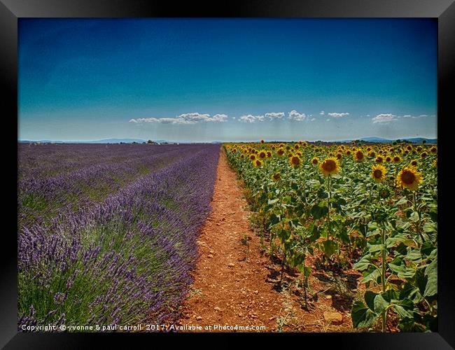 Lavender & Sunflowers, Provence Framed Print by yvonne & paul carroll