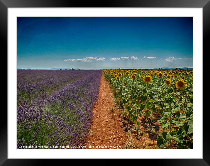 Lavender & Sunflowers, Provence Framed Mounted Print by yvonne & paul carroll