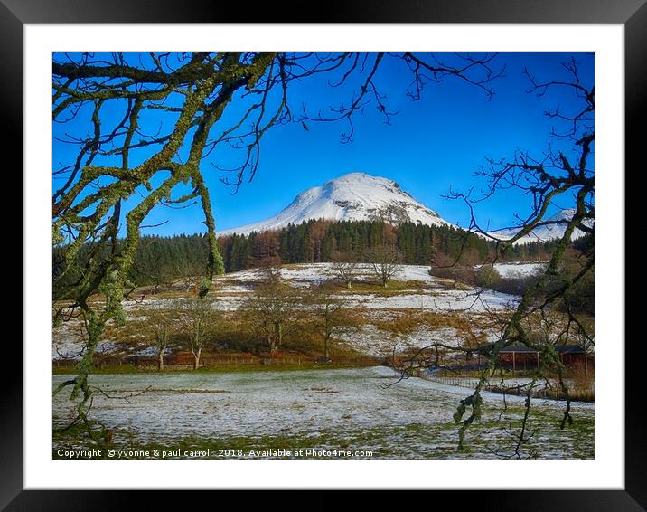 Dumgoyne hill framed by tree branches Framed Mounted Print by yvonne & paul carroll