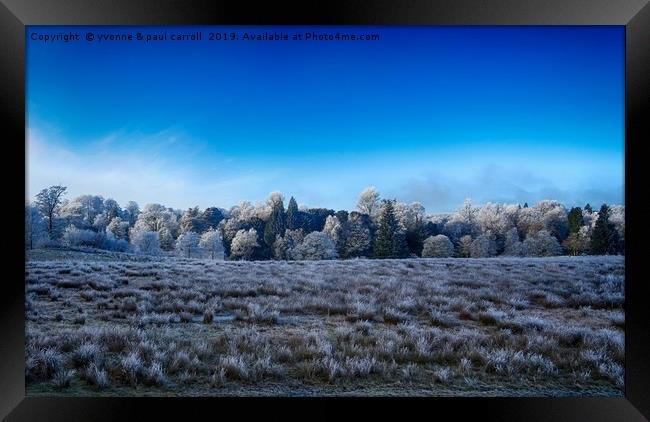 Winter frosted trees, looking out from Garscube  Framed Print by yvonne & paul carroll