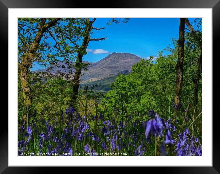 Ben Lomond through the bluebells on Inchcailloch Framed Mounted Print by yvonne & paul carroll