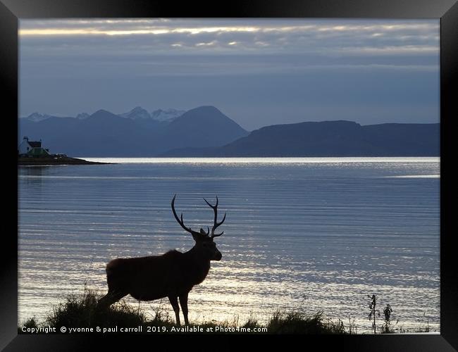 Stag at Applecross Bay, Wester Ross, Scotland Framed Print by yvonne & paul carroll