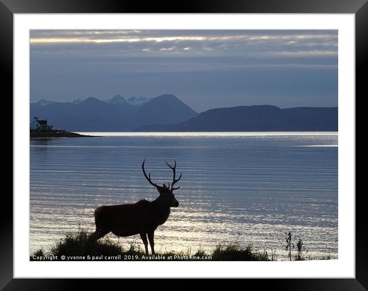 Stag at Applecross Bay, Wester Ross, Scotland Framed Mounted Print by yvonne & paul carroll