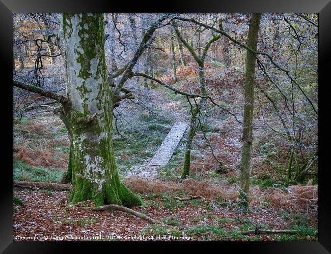 Walking through the forest on Inch Cailloch Framed Print by yvonne & paul carroll