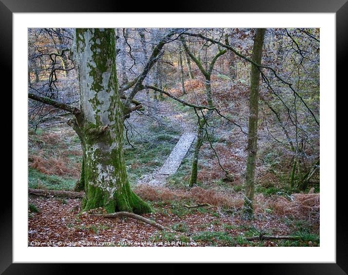 Walking through the forest on Inch Cailloch Framed Mounted Print by yvonne & paul carroll