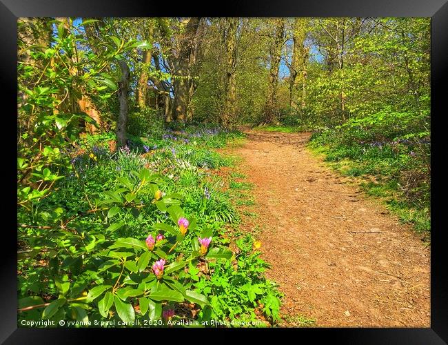 A walk through the woods Framed Print by yvonne & paul carroll