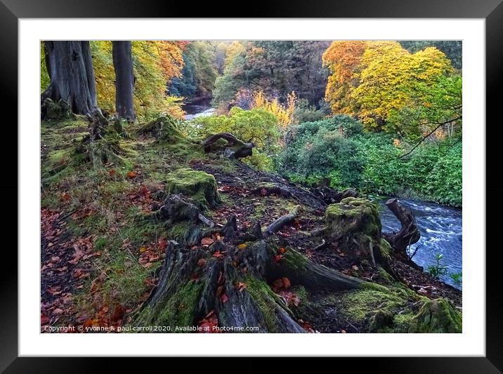 River Kelvin in Autumn Framed Mounted Print by yvonne & paul carroll