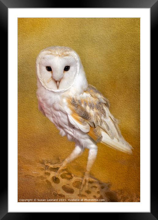 Barn Owl Framed Mounted Print by Susan Leonard