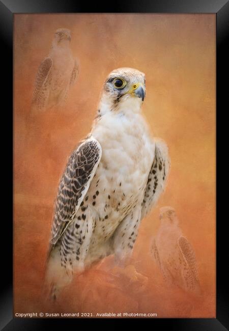 Bird of Prey Framed Print by Susan Leonard