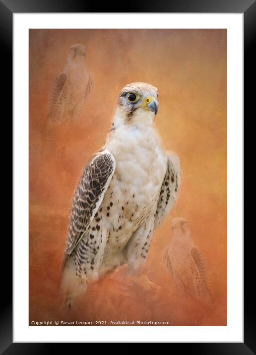 Bird of Prey Framed Mounted Print by Susan Leonard