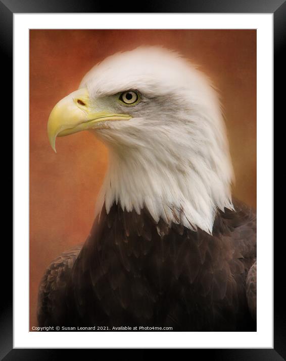 Golden Eagle against a textured background Framed Mounted Print by Susan Leonard