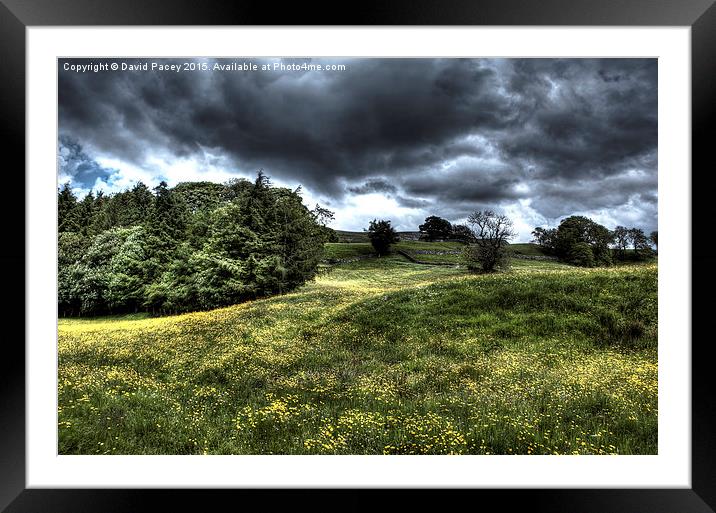  Out in the dale (HDR) Framed Mounted Print by David Pacey