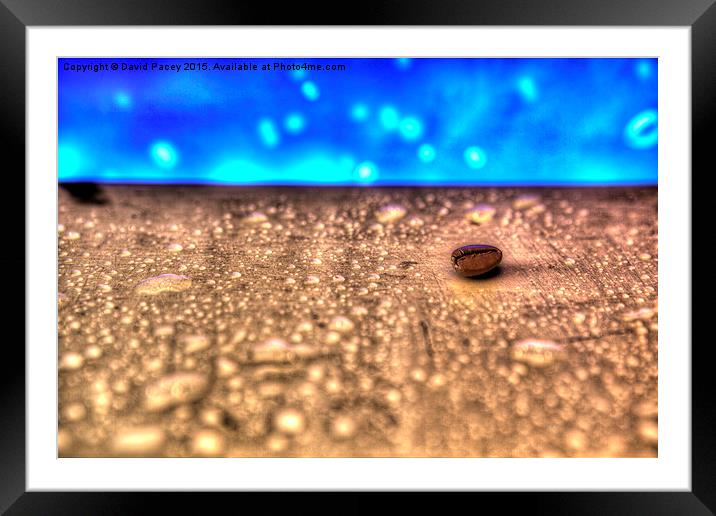 Coffee Bean Framed Mounted Print by David Pacey