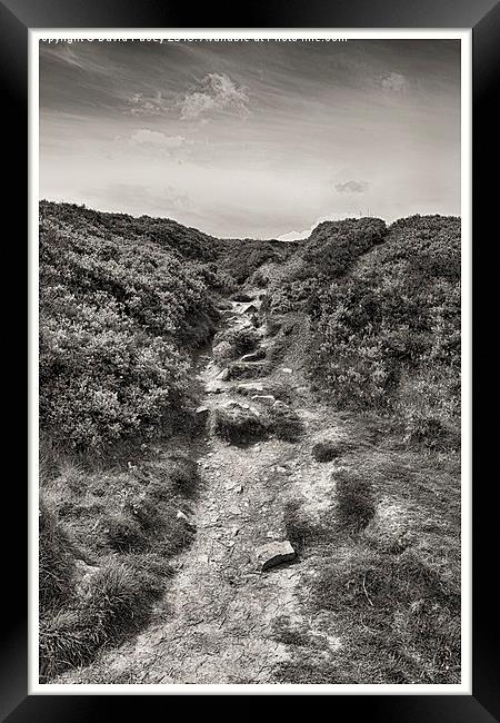   Ilkley Moor  Framed Print by David Pacey