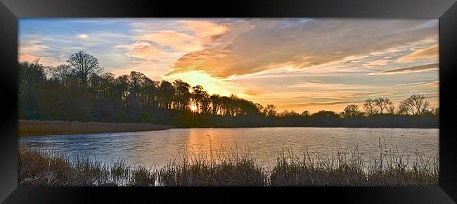 Wollaton park HDR Framed Print by Tom Reed
