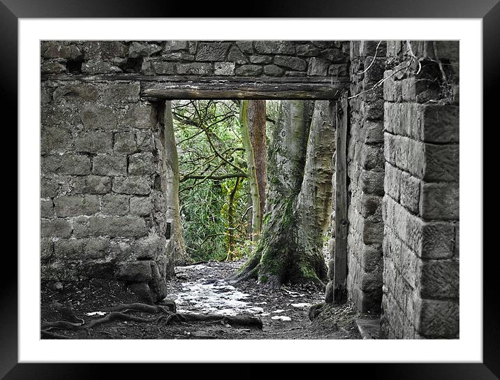 The Mill in the Woods Framed Mounted Print by Tom Reed