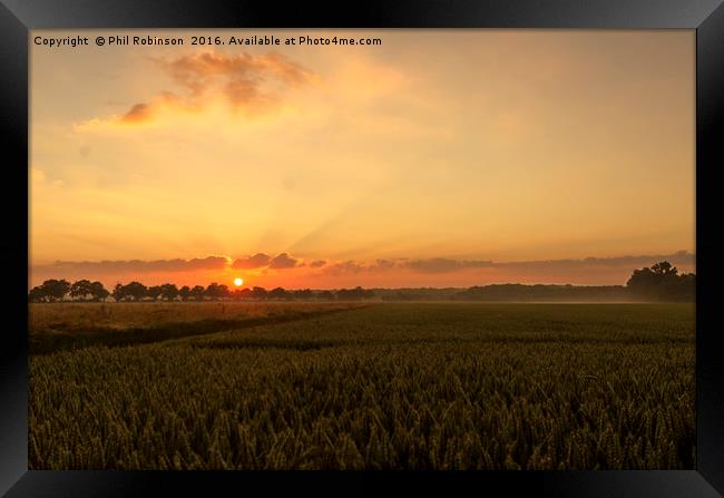 Sunrise on a stunning morning Framed Print by Phil Robinson