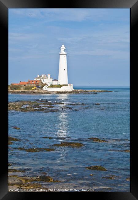 St Mary's Lighthouse Framed Print by Heather Athey