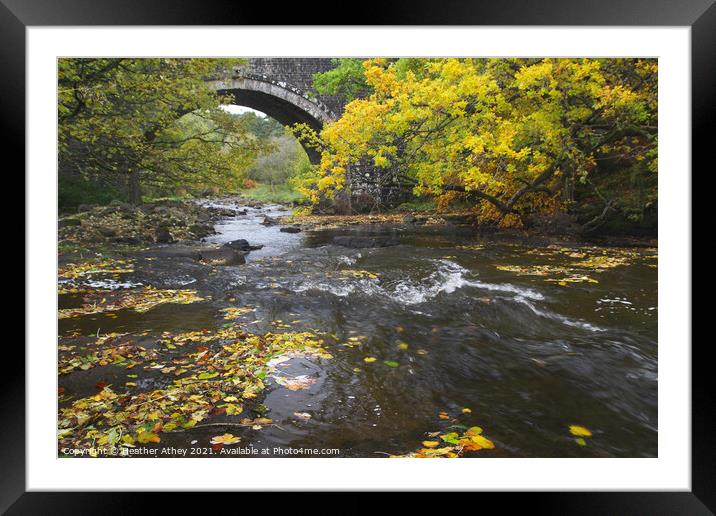 Autumn river Framed Mounted Print by Heather Athey