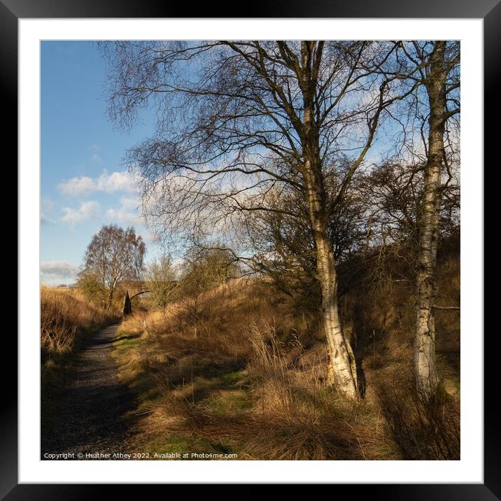 Disused Railway Line Northumberland, UK Framed Mounted Print by Heather Athey