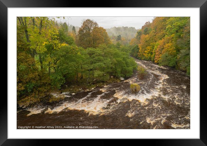 Misty Autumn day at Staward Gorge, Northumberland Framed Mounted Print by Heather Athey
