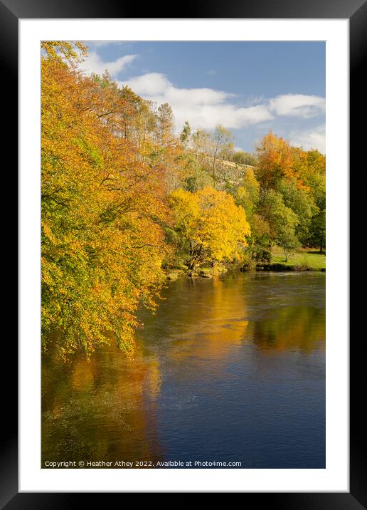 River South Tyne in autumn Framed Mounted Print by Heather Athey